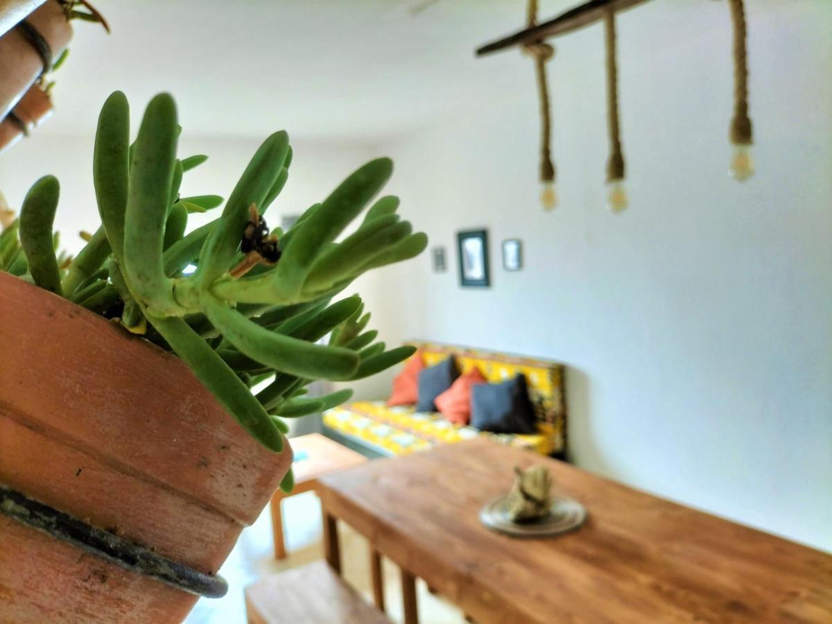 Solstice Hostal